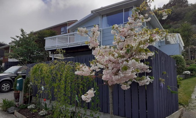 Porirua Apartment | New, Cosy & Private 1-Bedroom & Living Flat