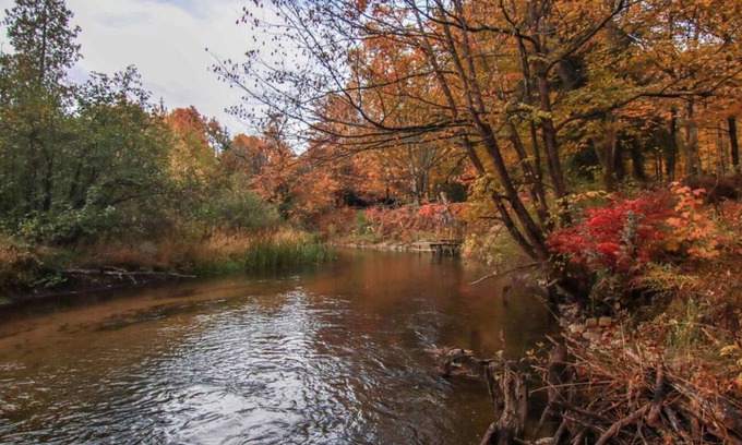 Thompsonville Cabin | NEW! Cozy 3-bedroom 2-bath, 175 ft on Betsie River, 1 mile to Crystal Mountain