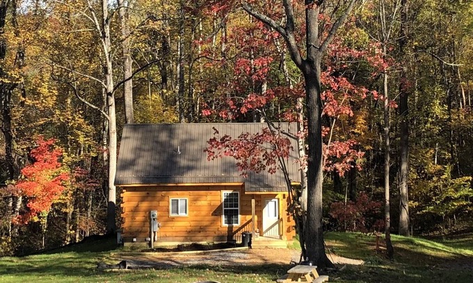 Damascus Cabin | NEW! COZY 6 Guest Cabin in Damascus, VA-CLOSE to Creeper Trial! PET FRIENDLY