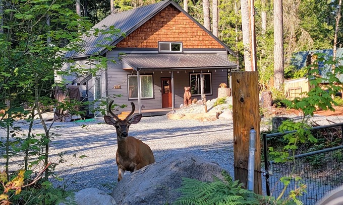Ashford Cabin | New! Family Cabin w/Solo Stove Firepit, EV & Spa!