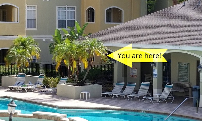 Clearwater Condo | NEW LISTING! AVALON - Newly renovated condo on ground floor with pool view.