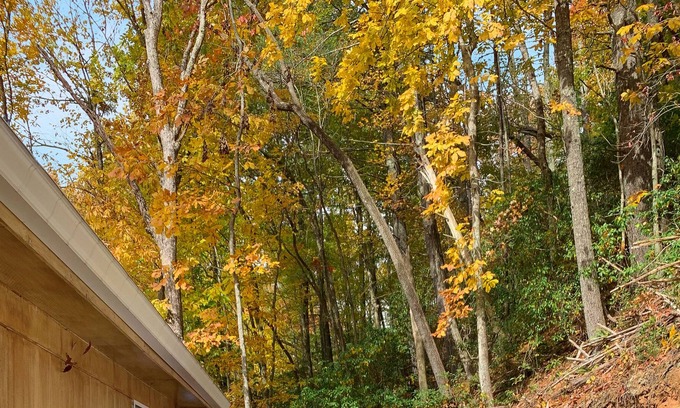 Cherry Log Cabin | New listing~modern~remodeled~hot tub~creek