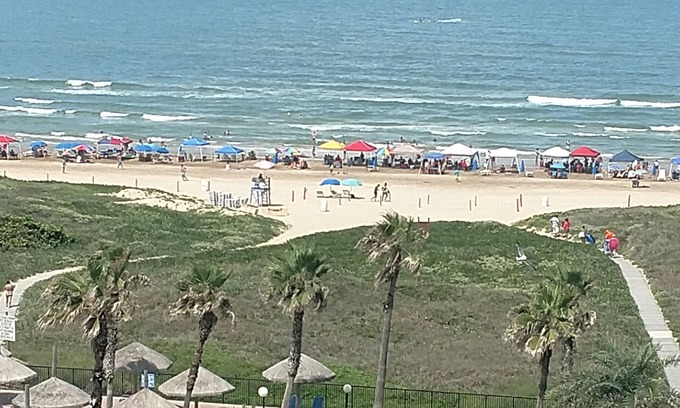 South Padre Island Condo | New Listing - Awesome Beachfront Condo !