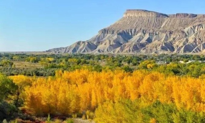 Palisade House | NEW! Mount Garfield Hideaway