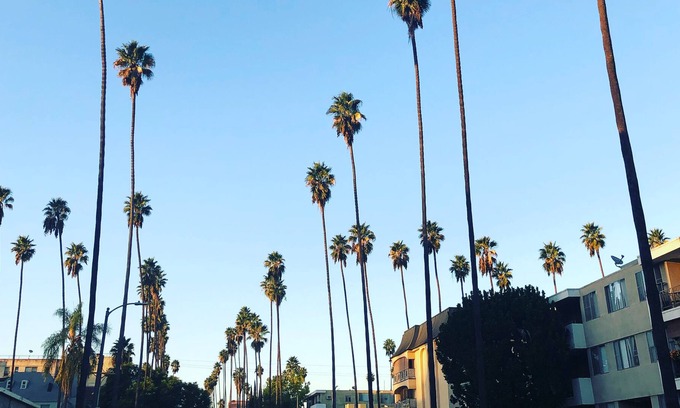 North Hollywood House | New NoHo Share House