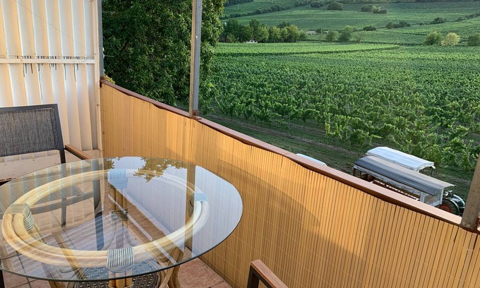 Mainz-Bingen Apartment | New: Oppenheim vacation apartment Martin