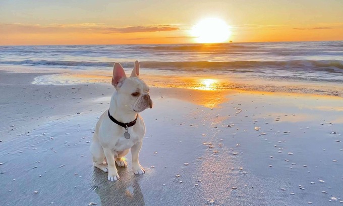 Gilchrist House | New! Pet & Family Friendly*On the Bay