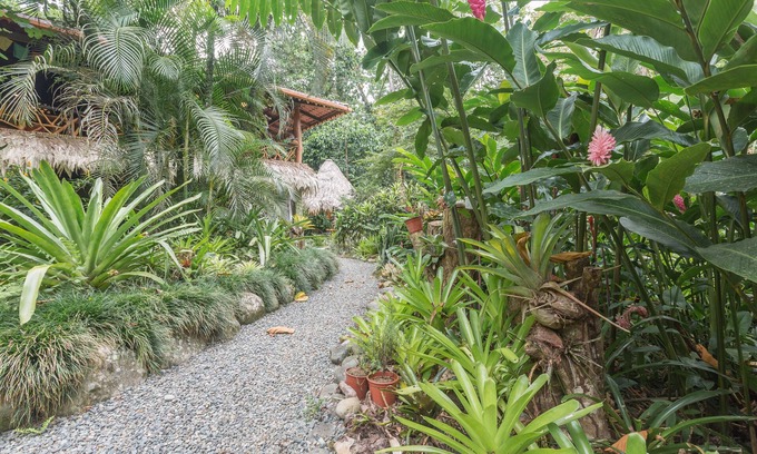 Chiguata House | NEW Pickleball court coming soon! Pool, hot tub, wildlife—we’ve got it ALL!