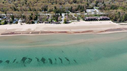 Oscoda House | New! Surfside 13 - Cute Lakefront Condo!