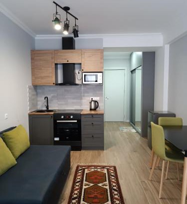 Kazbegi Apartment | New Twins 333