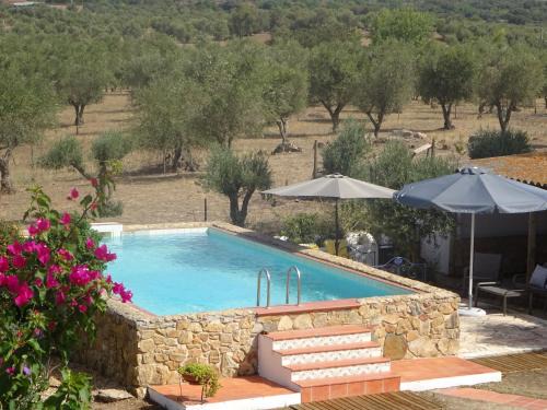 Alvito House | New Village