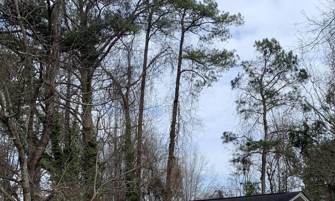Zebulon Cottage | Newly remodeled! convenient to shopping and restaurants..