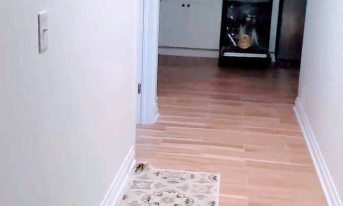 Elmira House | Newly remodeled, High-end appliances. Secured access to bedroom by pinpad lock.