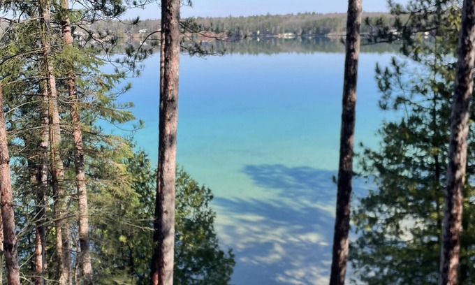 Hillman House | Newly Remodeled! Peaceful and Private Lakefront, The Avalon Sunshine Cottage