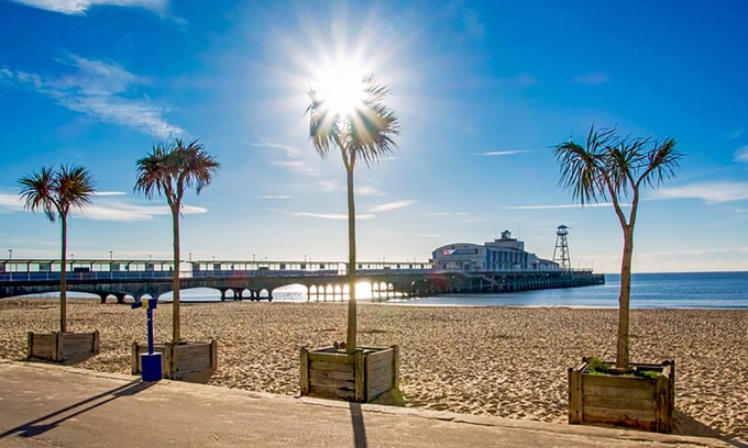 New Forest District Cottage | Newly Renovated Period Cottage Close To New Forest