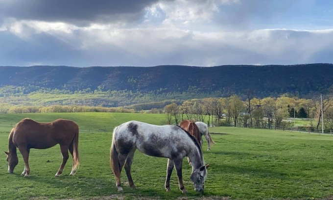 Newville House | Newville, Pennsylvania - Horse Farm Campsite