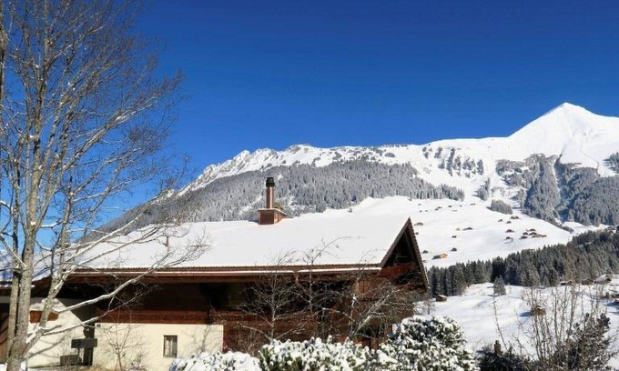 Lauenen Apartment | Nice apartment for 4 guests with WIFI and balcony