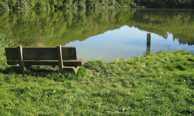 Immerath Apartment | Nice apartment for 7 guests with WIFI, TV, balcony, pets allowed and parking