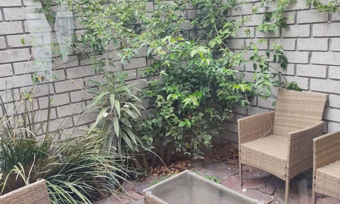 Queretaro House | Nice cozy house 12min from Plaza Antea (pets welcome)