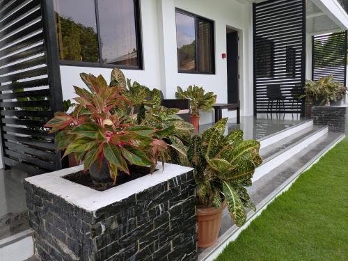 Dauin Apartment | Nicholsons Apartments