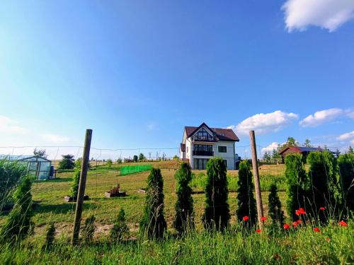 Warpuny House | Niebieski Domek