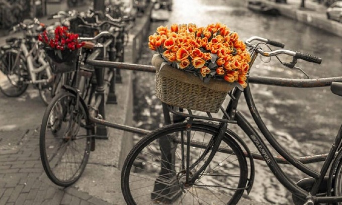 Gemert Apartment | NIEUWMARKT, DAM SQR, FLOWER MARKET-THE PLACE TO BE