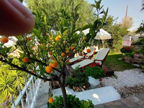 Gerakini House | Nikos Stone House 80m from the beach with wifi