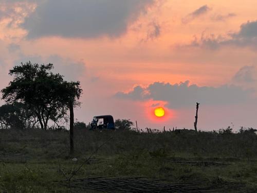 Kuchchaveli Other | Nilaveli Irakkandy Lagoon Tent Campground