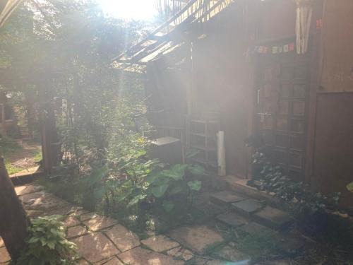 Arambol House | Nirvana Cowen
