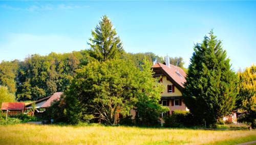 Oberkirch House | Nisihof, Seeblick Family or Single