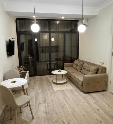Kutaisi Apartment | Nitsa Downtown Apartment