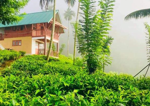 Kotapola House | Niwahana sinharaja