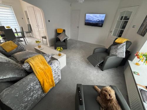 Ayr House | No 10, Ayr, 130m2, New Decor December 2024, All new entire 3 bedroom garden house