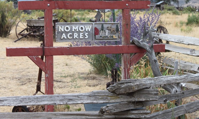 Plush House | No Mow Acres /Located in the Oregon High Desert