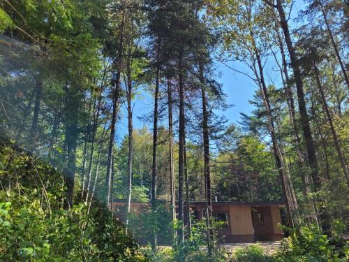 Harcourt Resort | Nomi Resort