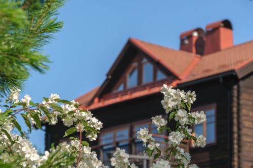 Are Villa | Nordic Elegance Retreat