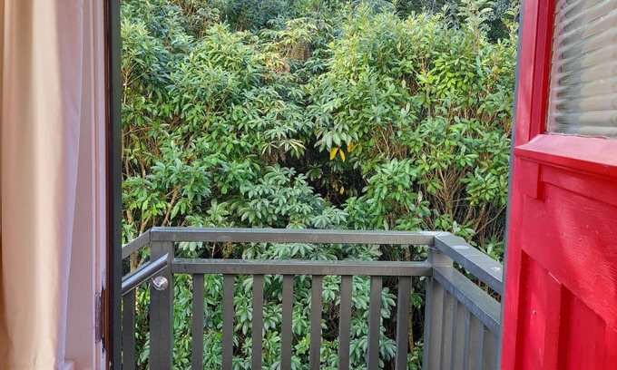 Dunedin House | North Dunedin Woodland Sanctuary