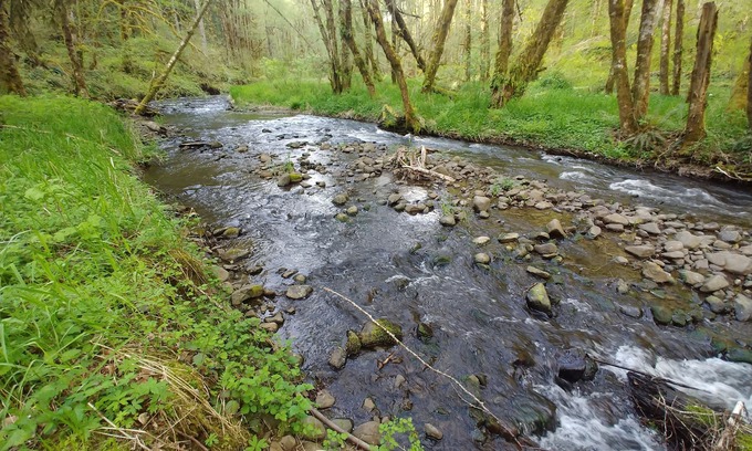 North Plains Ski Chalet | North Plains Home on a Stream in foothills of the Coast Range Mtns Unplug Zone