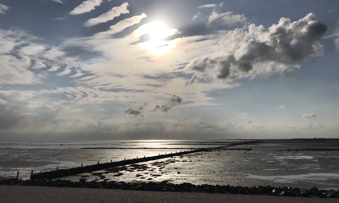 Westerdeich House | North Sea, near St. Peter Ording, house directly on the dike, very quiet