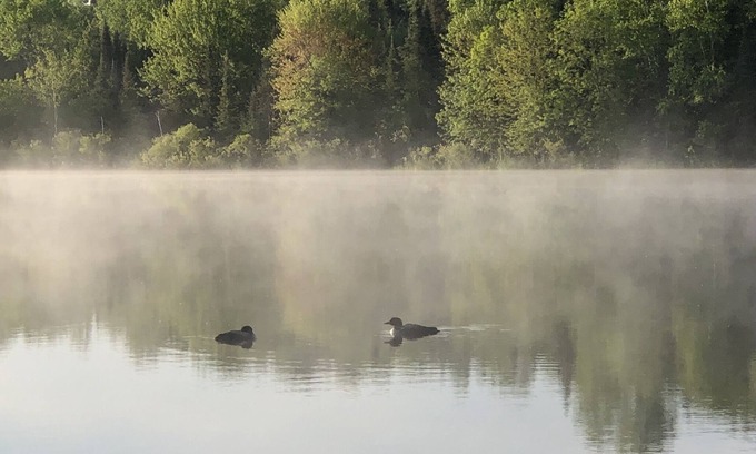 Tomahawk House | Northwoods waterfront upper one bedroom unit on the Spirit River Flowage.