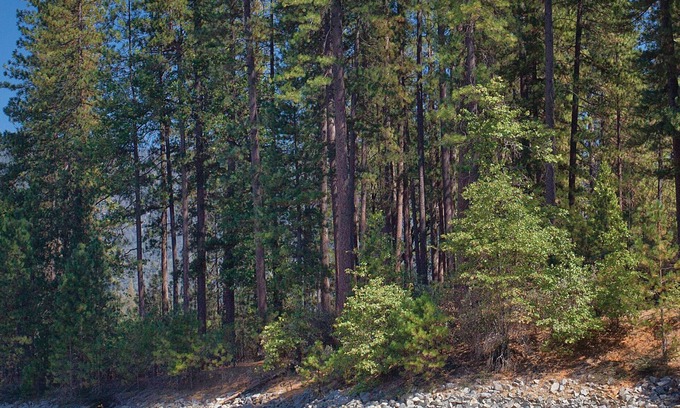 Bass Lake Resort | Not enough time for SO many outdoor activities !