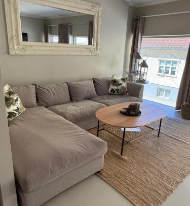Notodden Apartment | Notodden Sentrum Apartment NO 2