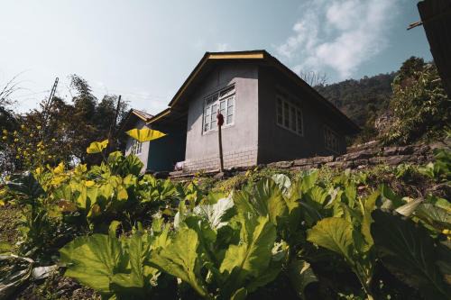 Rumtek House | NotOnMap - Tarjimmo Homestay