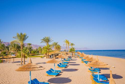 Nuweiba Resort | Nuweiba Club Resort