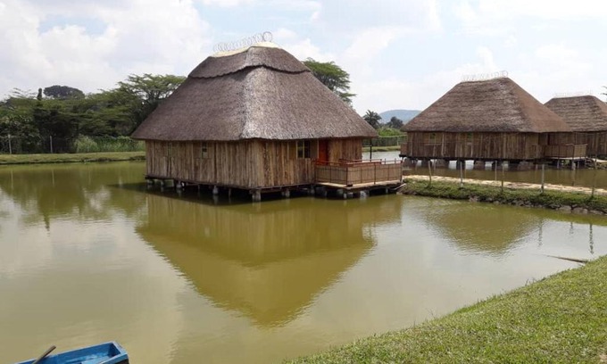 Kampala Hotel | Nyasi Eco Resort Kajjansi