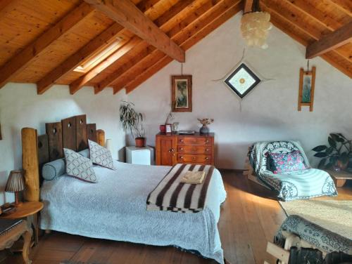 Penela Bed & Breakfast | O Homem Verde