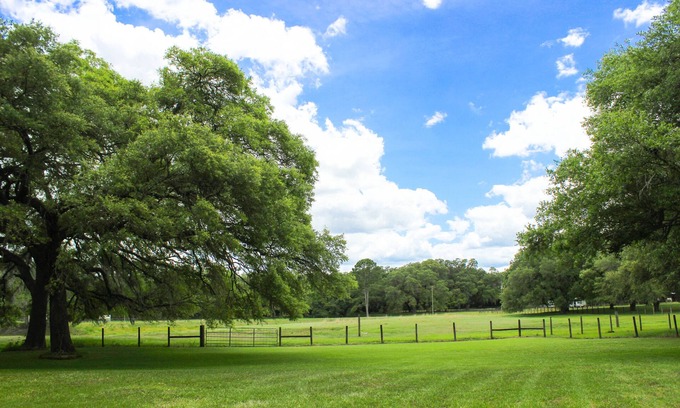 Morriston Cabin | Oak Flats Farm - Pet Friendly - Star Link - Outdoor Shower