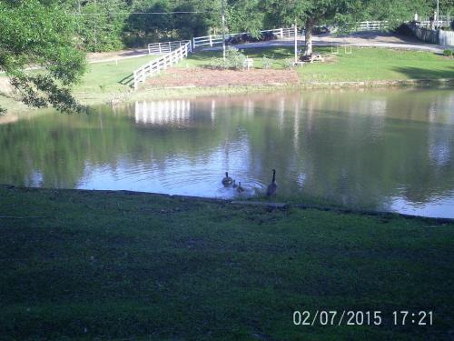Hattiesburg Apartment | Oak Grove Apartment Hattiesburg, MS