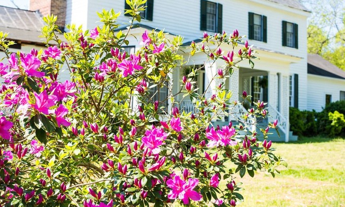 South Boston Bed & Breakfast | Oak Grove Bed and Breakfast