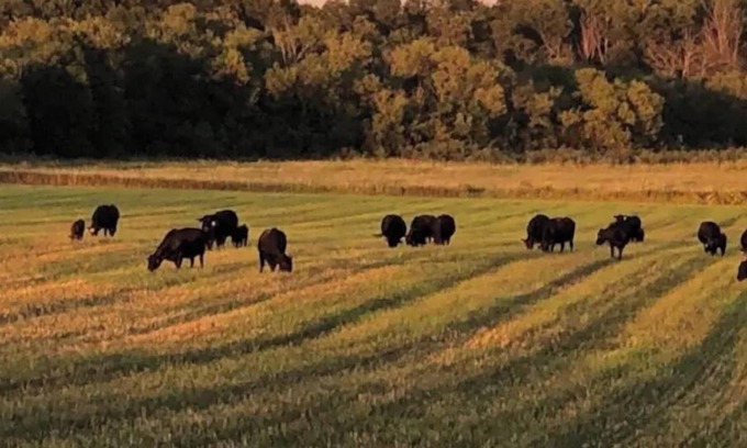 Fillmore County Other | Oak Meadow Farmhouse